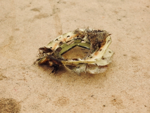 Bényó féktárcsája megfáradtt.